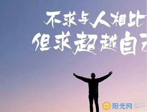 房地产置业顾问转正申请书范文（通用）