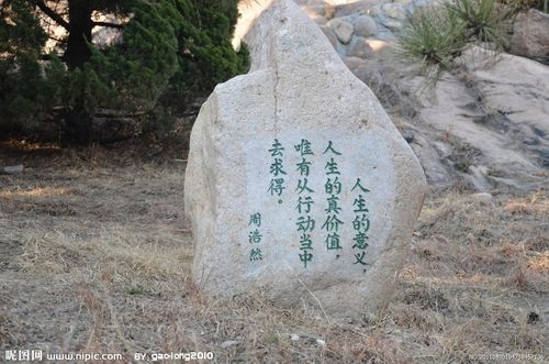 数学教师实习报告集锦