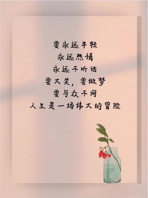 摄影活动总结