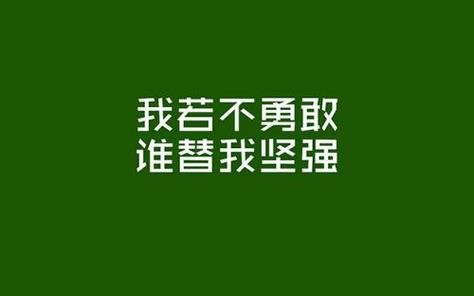 关于大学自我鉴定模板汇编