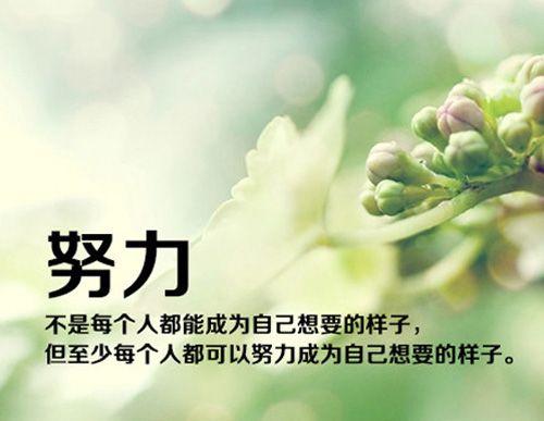 责任承诺书